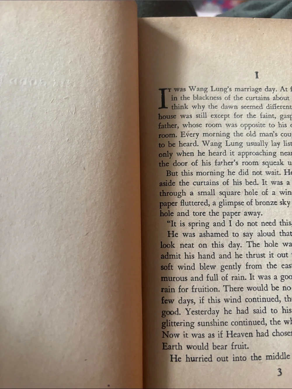 The Good Earth by Pearl S. Buck - vintage